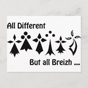 Cartão Postal Todos diferentes, mas todos Breizh Bretagne