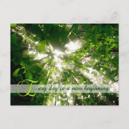 Cartão Postal Todos os dias é uma nova floresta de árvores que c
