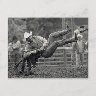 Cartão Postal Todos os rodeios indígenas em Tygh Valley, Oregon.