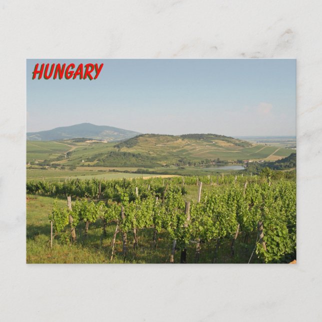 Cartão Postal Tokaj vineyards, Hungria (Frente)