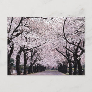 CARTÃO POSTAL TOKYO