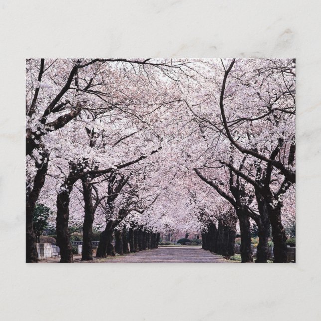 CARTÃO POSTAL TOKYO (Frente)