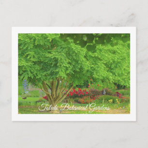 CARTÃO POSTAL TOLEDO BOTANICAL GARDEN, TOLEDO, OHIO USA