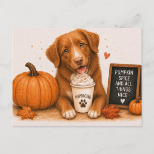 Cartão Postal Toller Warm Pumpkin Spice Puppaccino Outono