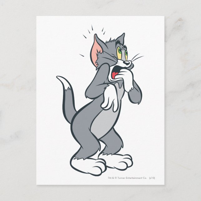 Cartão Postal Tom Chocou (Frente)