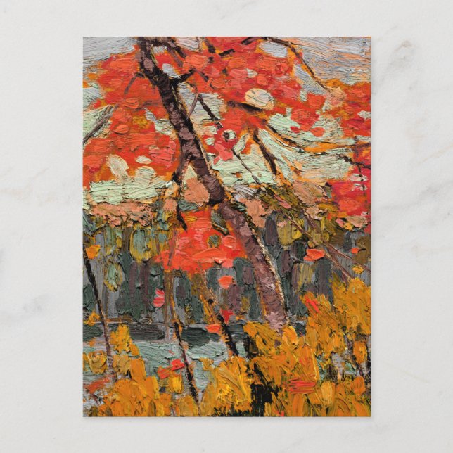 Cartão Postal Tom Thomson - Twisted Maple (Frente)