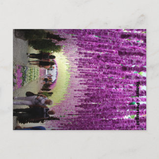 Cartão postal Tomar