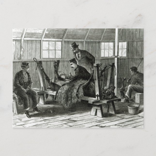 Cartão Postal Tomar vírus do vitelo (Frente)