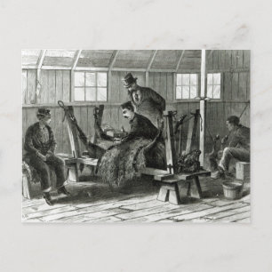 Cartão Postal Tomar vírus do vitelo