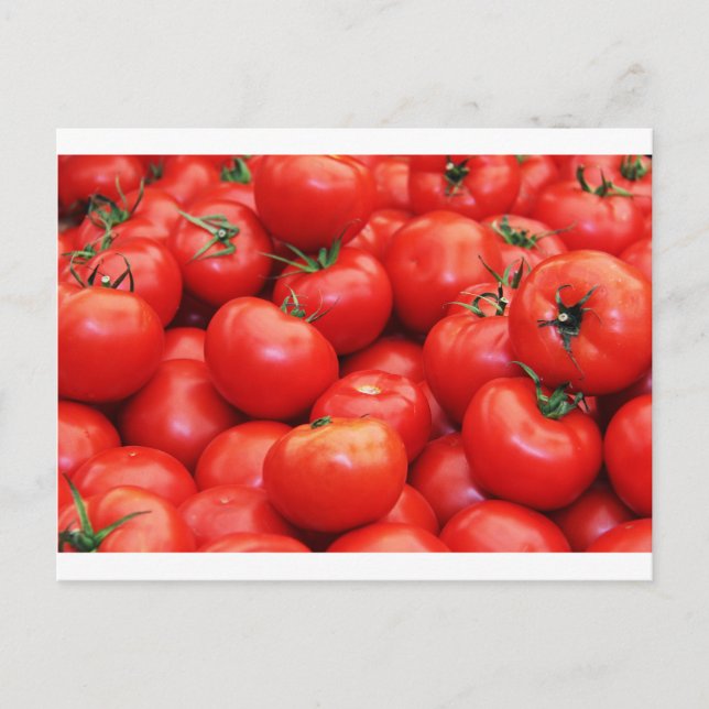 Cartão Postal Tomate (Frente)