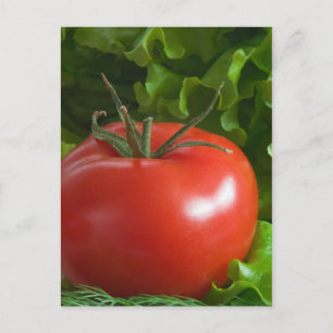 Cartão Postal Tomate