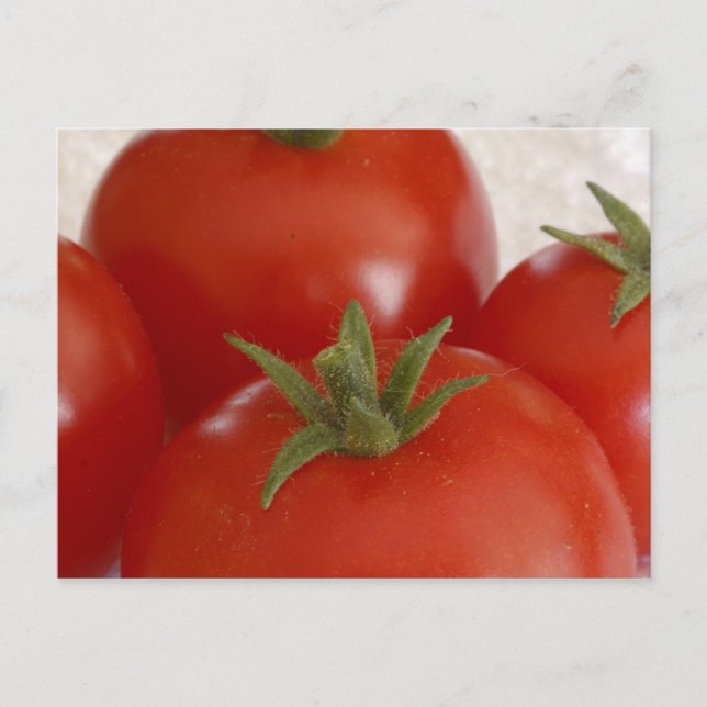 Cartão Postal Tomate (Frente)