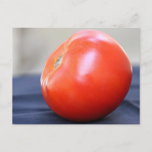 Cartão Postal Tomate Jersey 1