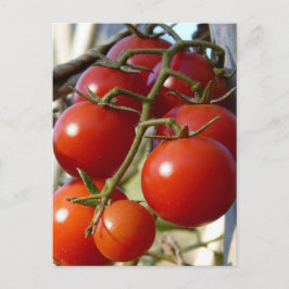 Cartão postal Tomates