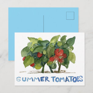 Cartão Postal Tomates de Verão Fruta Legume Jardim Correspondent