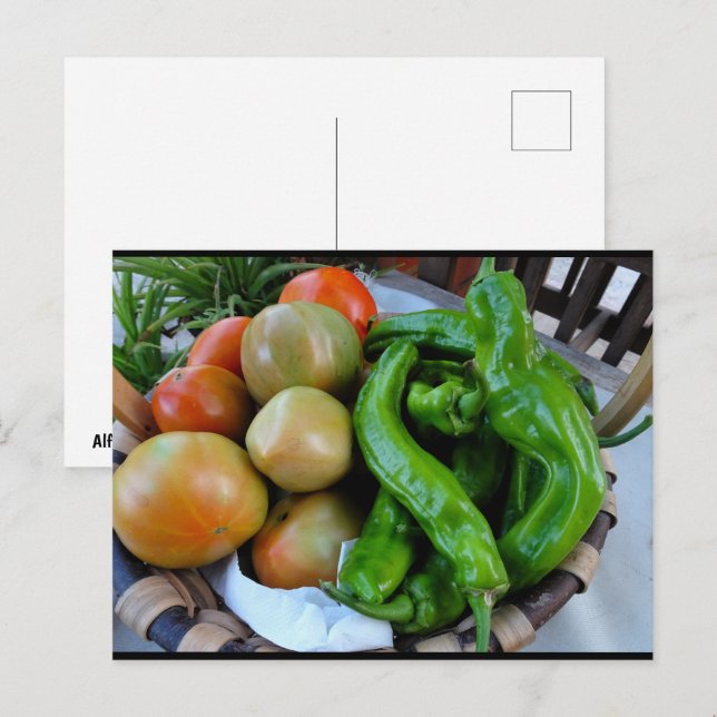 Cartão Postal Tomates e Pimentões Verdes em Cesta (Frente/Verso)