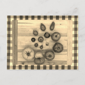 Cartão Postal Tomates Hypnotic Heirloom -