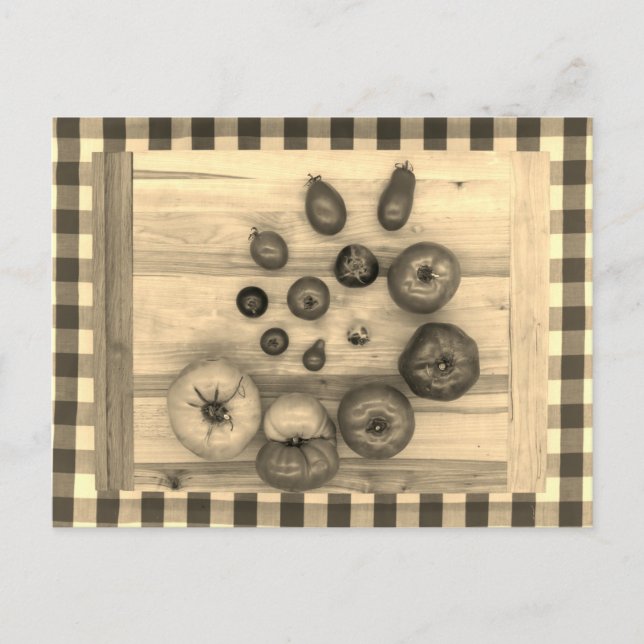 Cartão Postal Tomates Hypnotic Heirloom - (Frente)