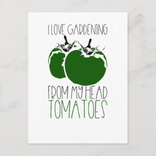 Cartão Postal Tomates para jardinagem