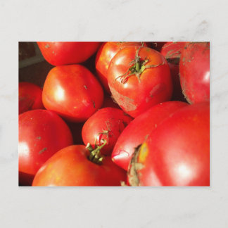 Cartão Postal Tomates Picados frescos