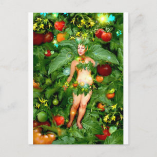 Cartão Postal Tomato Fairy