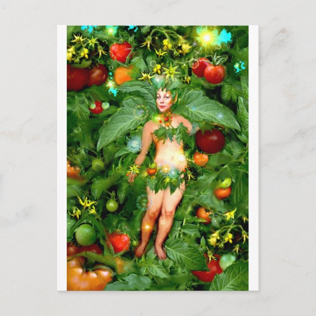 Cartão Postal Tomato Fairy (Frente)