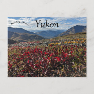 Cartão Postal Tombstone Territorial Park Dawson Yukon Canadá