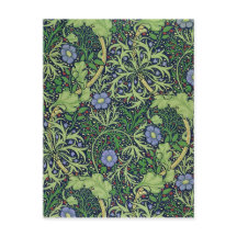 Tomilho de cobalto de algas marinhas - William Mor