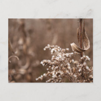 Cartão Postal Tones Sepia