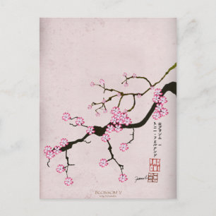 Cartão Postal tony fernandes floresce antigo 5