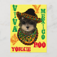 Topo do Yorkie Poo