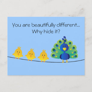 Cartão Postal Toque bonito e colorido de aves e pavão