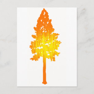 Cartão Postal Toque de Sol