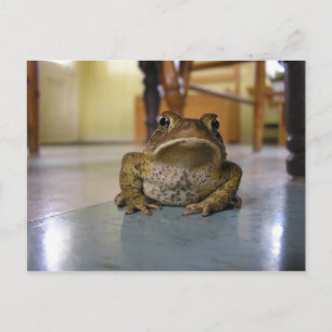 Cartão Postal Toque inicial