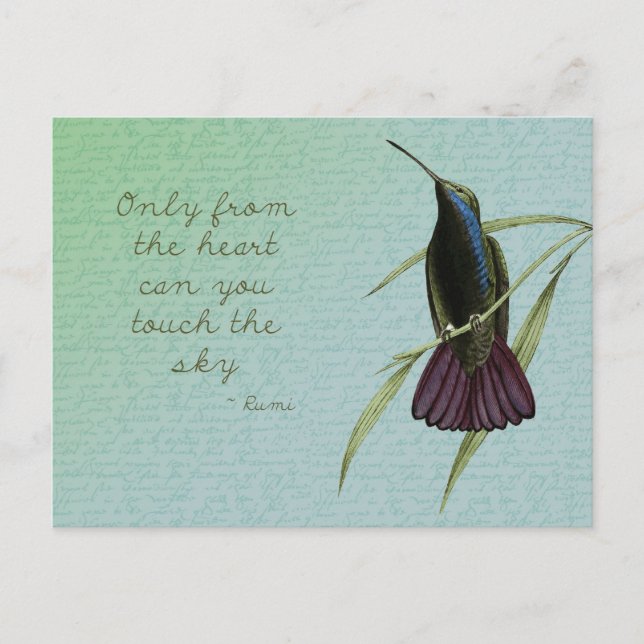 Cartão Postal Toque no Céu Hummingbird (Frente)