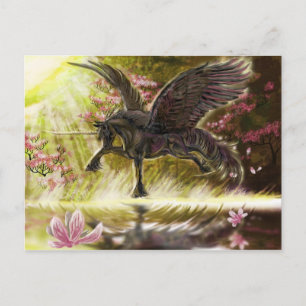 Cartão Postal Toque Suave