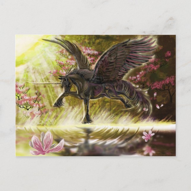 Cartão Postal Toque Suave (Frente)