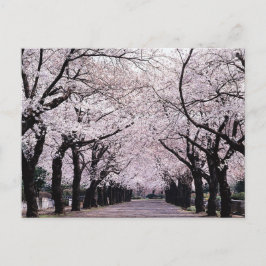 CARTÃO POSTAL TÓQUIO