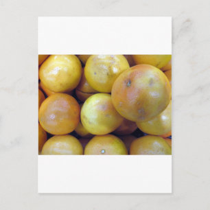 Cartão Postal Toranja Rosa