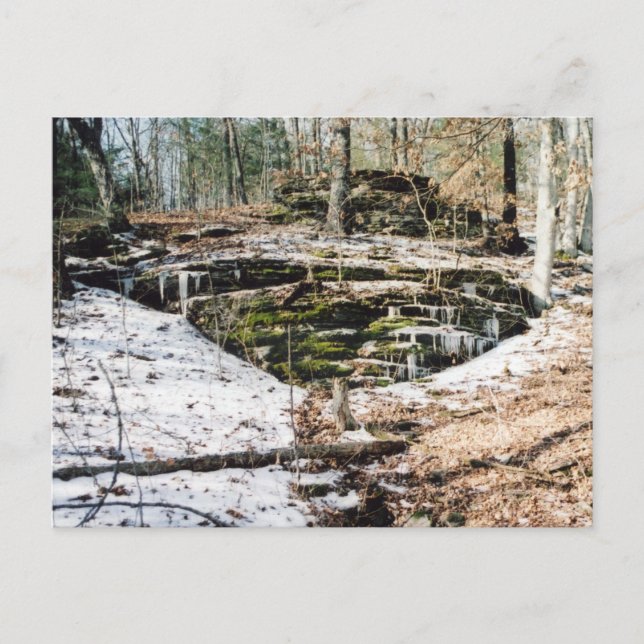 Cartão Postal torby hollows sobre gelo (Frente)