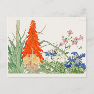 Cartão Postal Torch Lily, Lobelia de Tanigami Konan