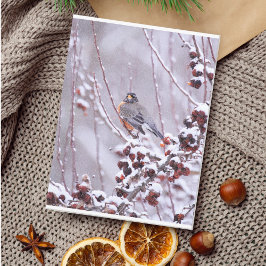 Cartão Postal Tordo Americano Guerreador no Inverno