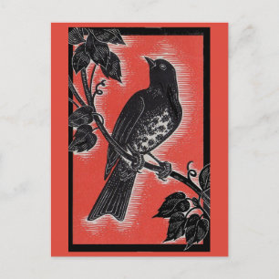 Cartão Postal tordo preto com vermelho