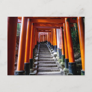 Cartão Postal Torii no Santuário Inari, Kyoto - Cartão-postal