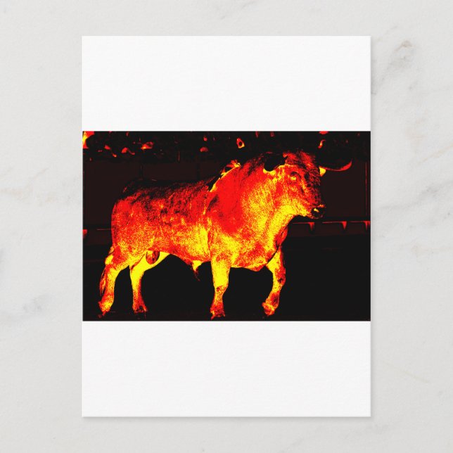 CARTÃO POSTAL TORO BRAVO (Frente)