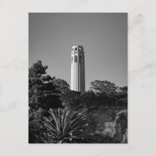 Cartão Postal Torre Coit, São Francisco - Fotografia City