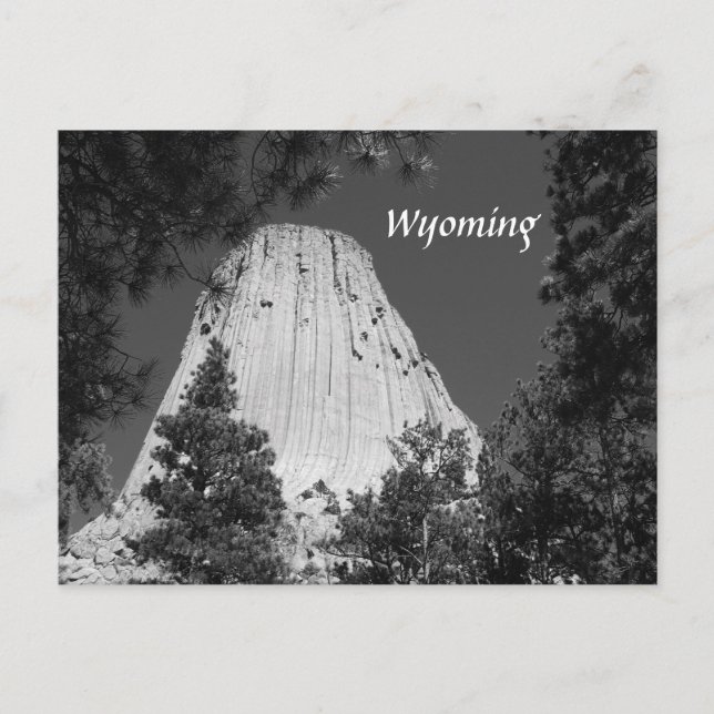 Cartão Postal Torre de demônios preto e branco (Frente)