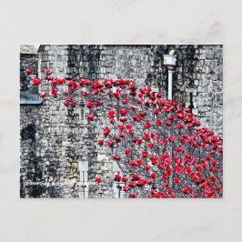 Cartão Postal Torre de Londres Poppies