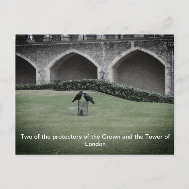 Cartão Postal Torre de Londres Ravens (Frente)