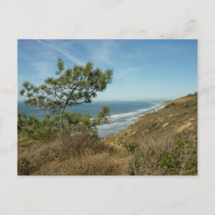 Cartão Postal Torrey Pine e California Costeira Paisagem